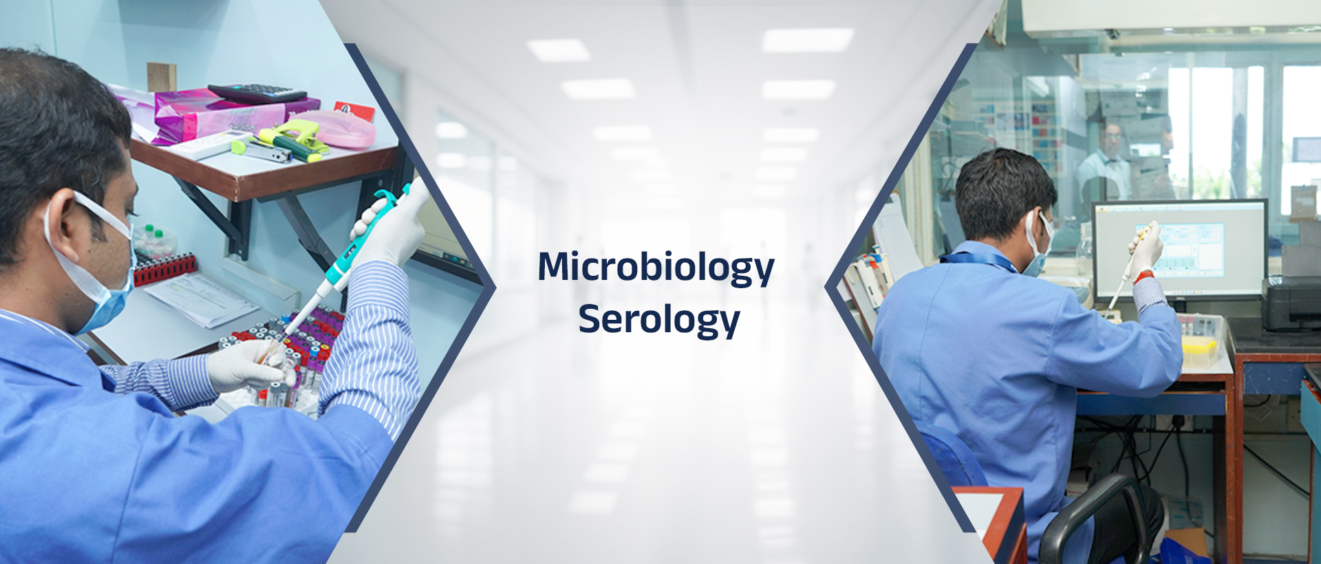 Microbiology Serology